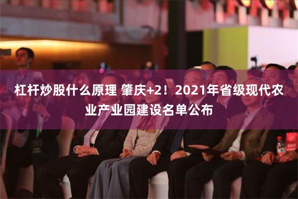 杠杆炒股什么原理 肇庆+2！2021年省级现代农业产业园建设名单公布