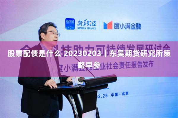 股票配债是什么 20230203｜东吴期货研究所策略早参