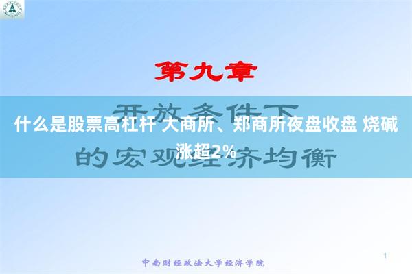 什么是股票高杠杆 大商所、郑商所夜盘收盘 烧碱涨超2%