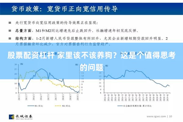 股票配资杠杆 家里该不该养狗？这是个值得思考的问题