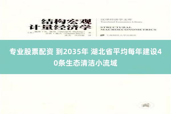 专业股票配资 到2035年 湖北省平均每年建设40条生态清洁小流域