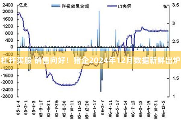 杠杆买股 销售向好！猪企2024年12月数据新鲜出炉