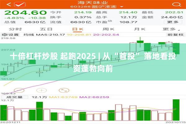 十倍杠杆炒股 起跑2025 | 从 “首投” 落地看投资蓬勃向前