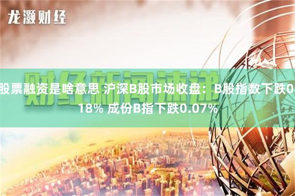 股票融资是啥意思 沪深B股市场收盘：B股指数下跌0.18% 成份B指下跌0.07%